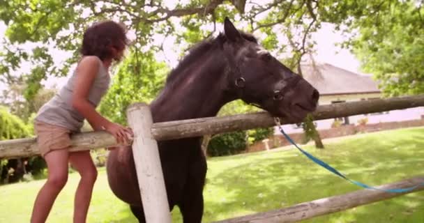 Niño alimentando caballo una zanahoria y acariciándolo — Vídeos de Stock