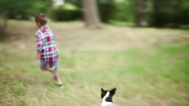 Chico persiguiendo a su perro cachorro corriendo — Vídeos de Stock