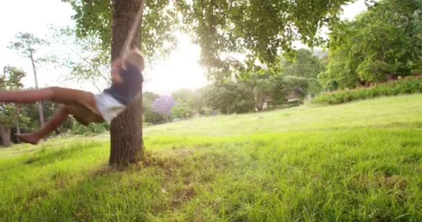 Boy playing on swing in park at sunset — Stock Video