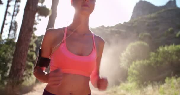 Bir doğa izi jogger egzersiz — Stok video
