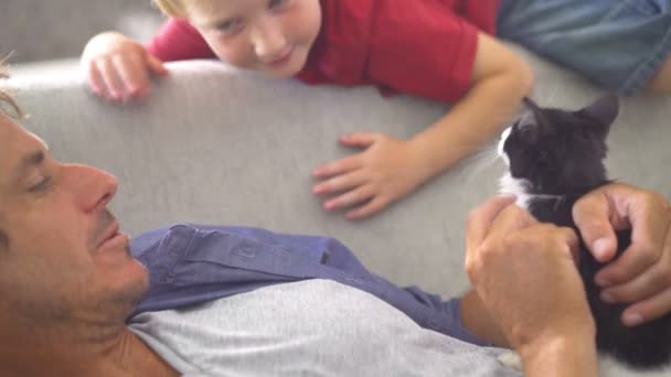 Dad Holding Cat for Son to Pet on Couch — Stok Video