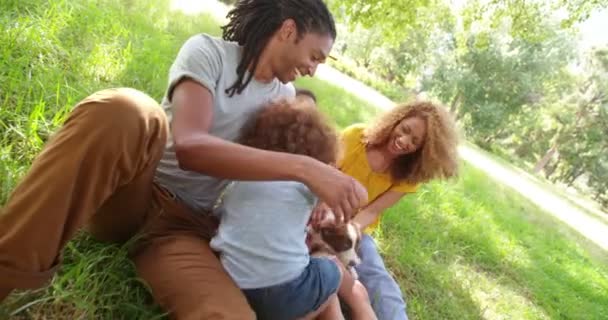 Семья проводит время в парке с новым любимым питомцем — стоковое видео