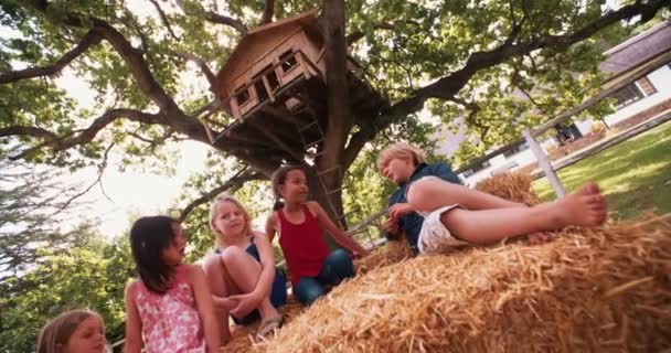 Kinderen liggend op hooibalen onder een houten treehouse — Stockvideo