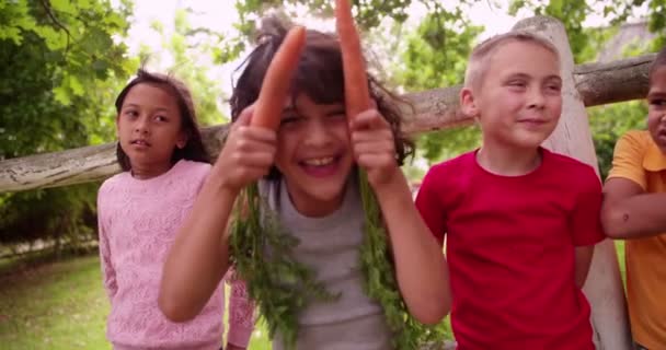 Boy being silly with carrots and his friends — Stock Video