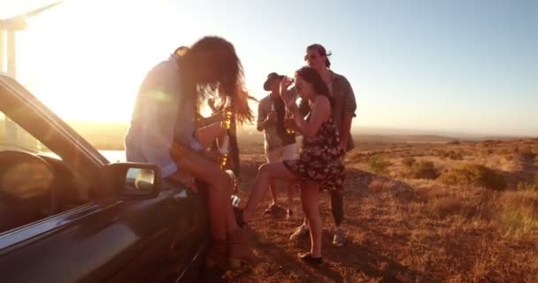 Amigos festejando ao ar livre em uma noite de verão — Vídeo de Stock