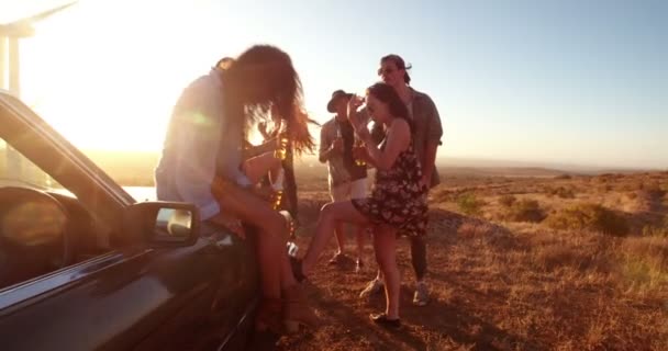 Amis faire la fête en plein air un soir d'été — Video