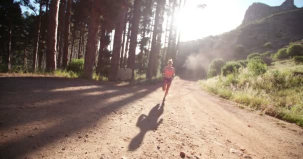 Runner on nature trail taking a break — Stock Video