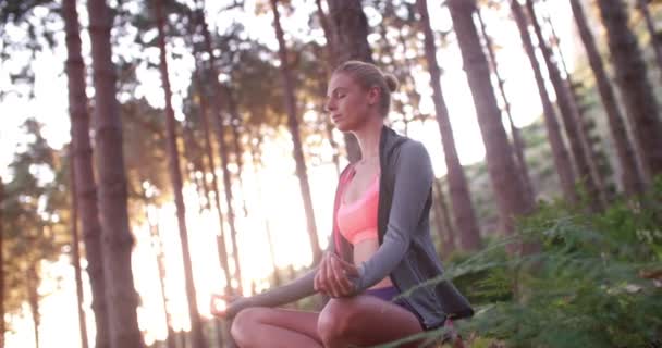Donna che esegue posa yoga nella foresta — Video Stock