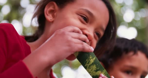 Grupo de niños comiendo sandía y sonriendo — Vídeos de Stock