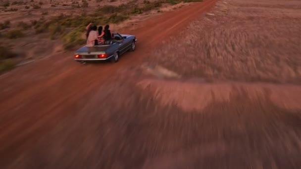 Amigos disfrutando de un viaje por carretera a través del parque eólico — Vídeos de Stock