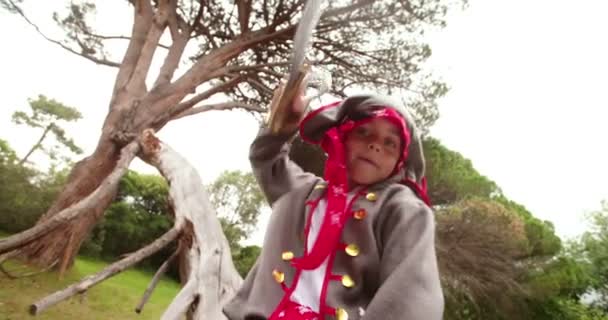 Boy dressed up as pirate on fallen tree — Stock Video