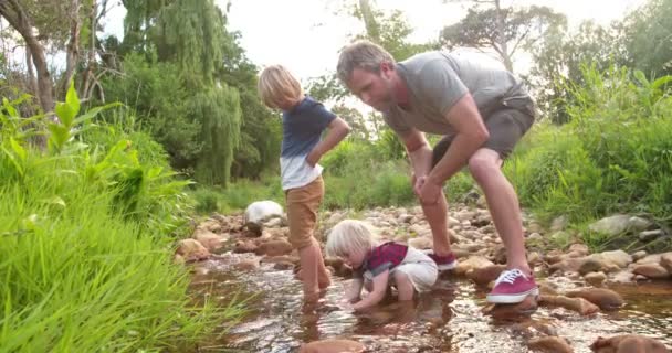 Дети исследуют мир и реку вместе с отцом — стоковое видео