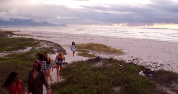 Hipster-Freunde laufen am Sandstrand — Stockvideo