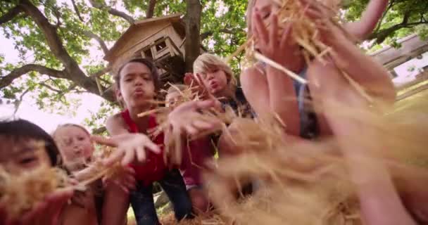 Enfants soufflant de la paille sur des balles de foin sous une cabane en bois — Video