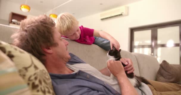 Pai segurando gato para filho para animal de estimação no sofá — Vídeo de Stock