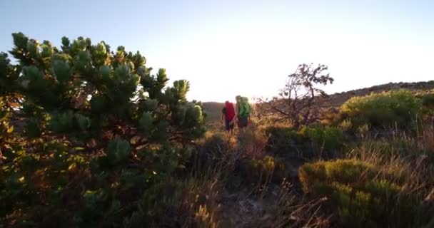 Pareja de senderismo con mochilas explorando la naturaleza — Vídeo de stock