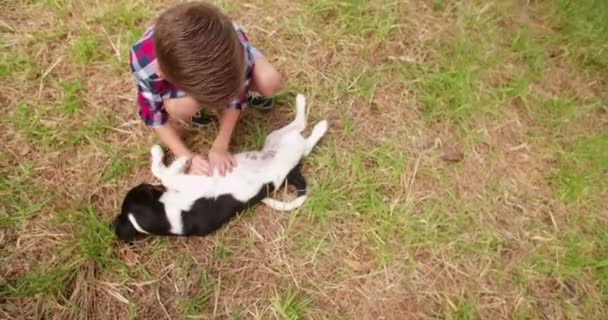 Menino e seu cão brincando em torno de grama — Vídeo de Stock