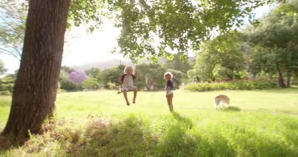 Pojke trycka sin bror på swing på park — Stockvideo