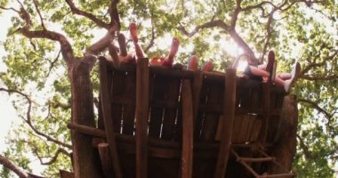 Treehouse ağacında kenarında oturan çocuk
