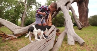 köpek sopa ile küçük bir çocuk oynamaya tutuyor