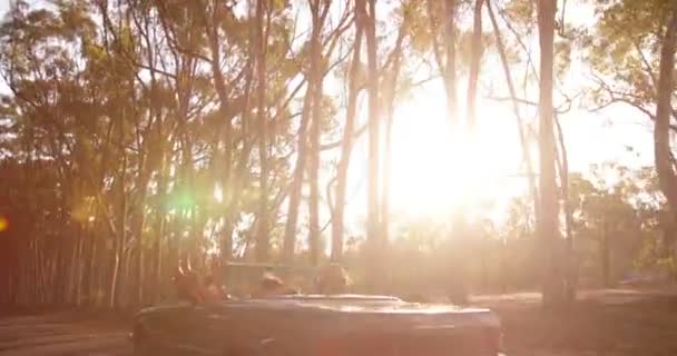 Влюбленные ездят на кабриолете по лесной дороге — стоковое видео