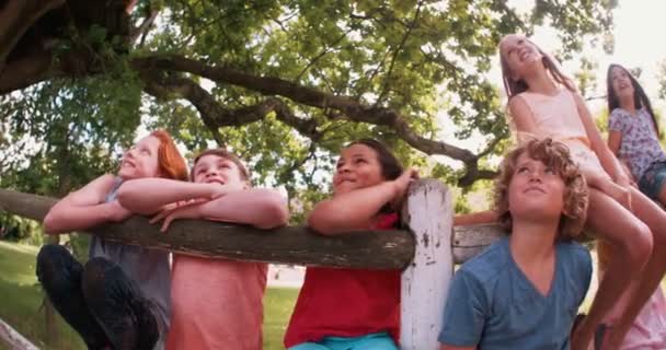 欢笑的孩子们在夏天公园里的人 — 图库视频影像