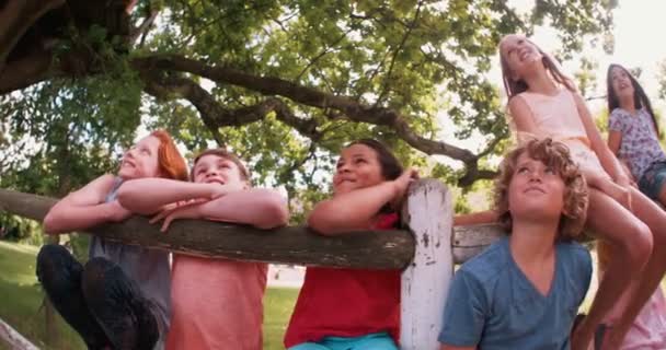 Person of laughing children in a summer park — Stock Video