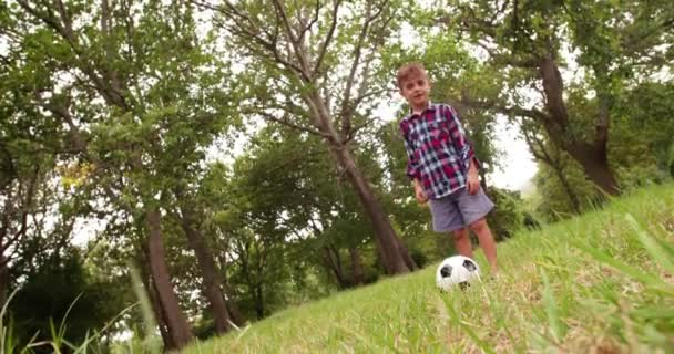 Liten pojke spelar fotboll i parken — Stockvideo