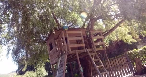 Hausgemachtes Baumhaus auf einer Weide im Garten — Stockvideo