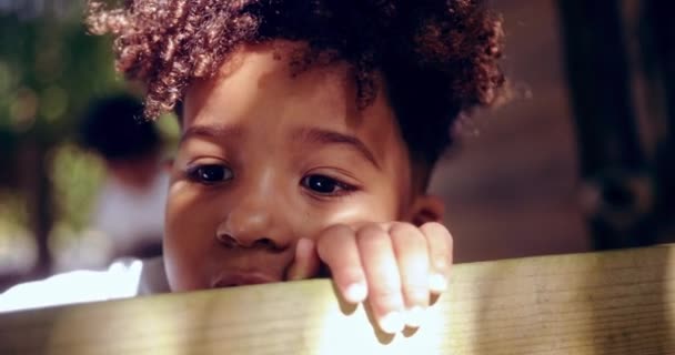 Gros plan d'un petit garçon afro-américain cachant son visage en train de jeter un coup d'œil — Video