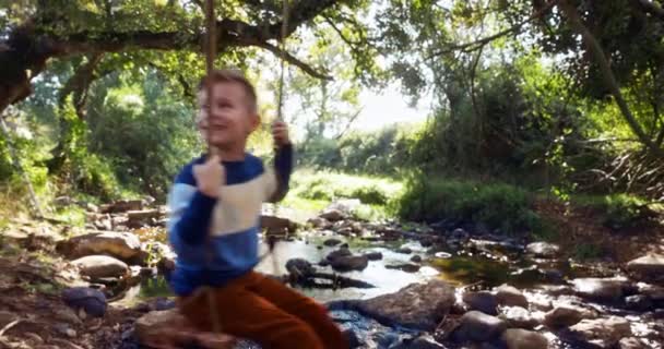 Küçük çocuk gülümsüyor ve sallanıyor ağaçtan salıncakta — Stok video