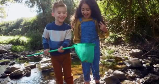 Niños pequeños capturando peces en el río con red — Vídeo de stock