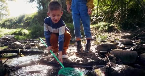 Niño y niña capturando peces en el río con red — Vídeo de stock