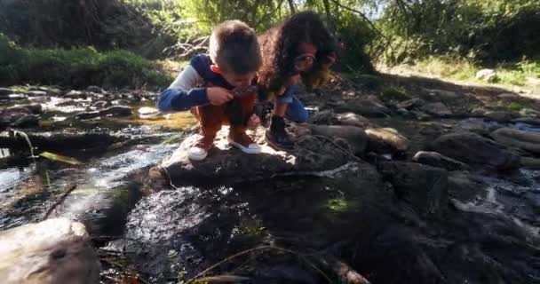 Kleine jongen en meisje op zoek naar rivier met vergrootglas — Stockvideo