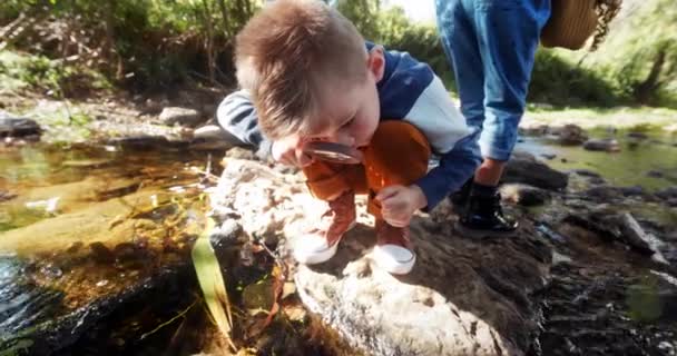 小さな男の子は虫眼鏡で川の水を見て — ストック動画