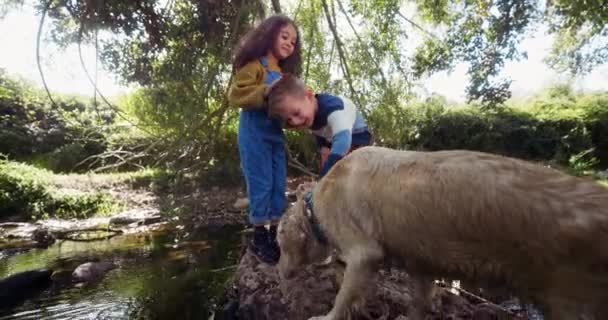 Små barn leker med labrador hund vid floden — Stockvideo