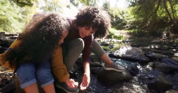 Dochter spelen met moeder plukken rotsen in een vijver — Stockvideo