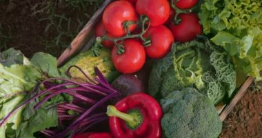 Tahta bir sandıkta çeşitli organik taze sebzeler.