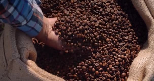 Worker checking roasted coffee beans on sack — Stock Video