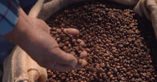 Boer controleert koffiebonen op zak — Stockvideo
