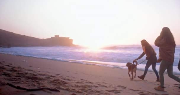 Flicka som rastar sin hund på stranden med vänner — Stockvideo