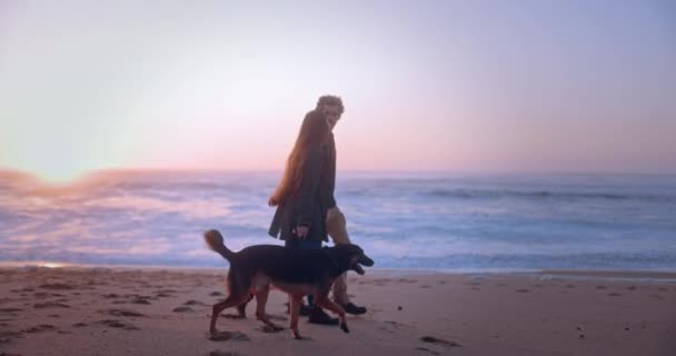 Et ungt par som gikk tur med hunden på stranden ved solnedgang – stockvideo