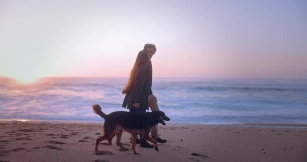 Young couple walking dog at the beach during sunset — Stock Video
