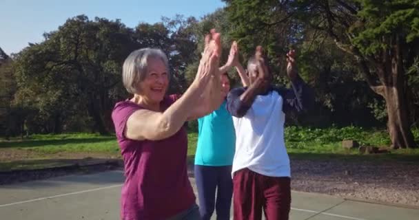 Groep van senior vrienden vieren na sportwedstrijd overwinning — Stockvideo