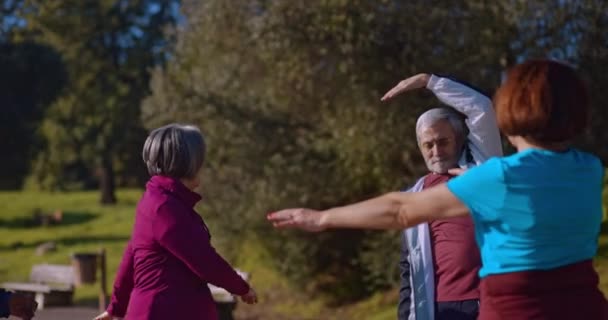 Grupo de idosos que se alongam antes do exercício no parque ao ar livre — Vídeo de Stock