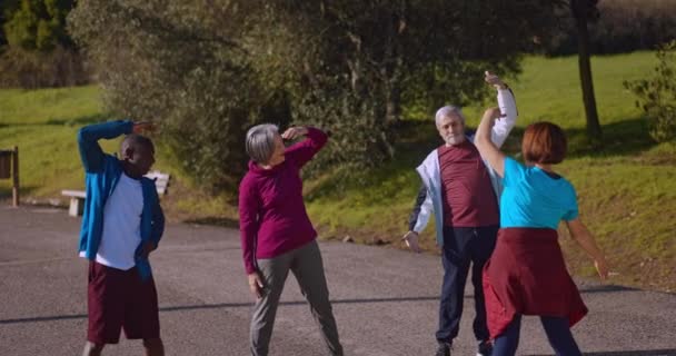 Seniorengruppe dehnt sich und übt im Außenpark — Stockvideo