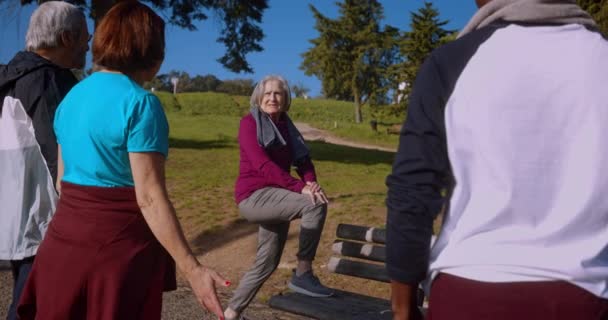 Seniorin streckt Bein beim Training mit Freunden im Park — Stockvideo