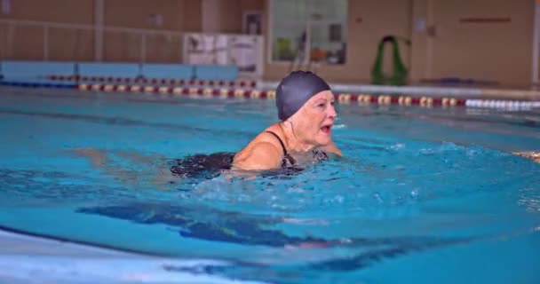 Mujer mayor nadando estilo braza en piscina cubierta — Vídeos de Stock