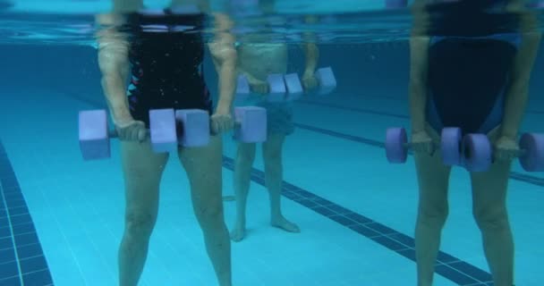 Mayores aeróbic acuático mancuernas ejercicio en la clase de piscina cubierta bajo el agua — Vídeo de stock