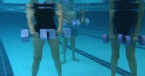 Seniors water aerobics dumbbells exercise in indoor pool class underwater Stock Footage